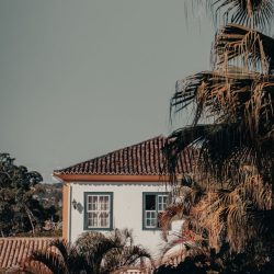 pexels-doouglasma-8254958
